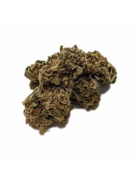 Fleurs CBD Gelato JR Indoor de la marque Le CBD du Chef