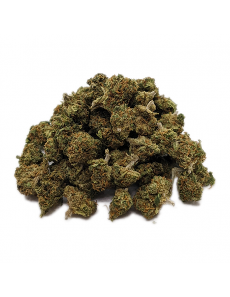 Fleurs CBD Babino's Bud Indoor de la marque Le CBD du Chef