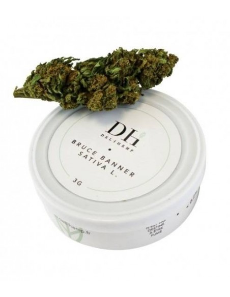 Fleurs CBD Bruce Banner Indoor de la marque Deli Hemp