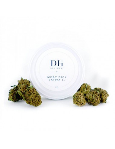 Fleurs CBD Moby Dick Indoor de la marque Deli Hemp