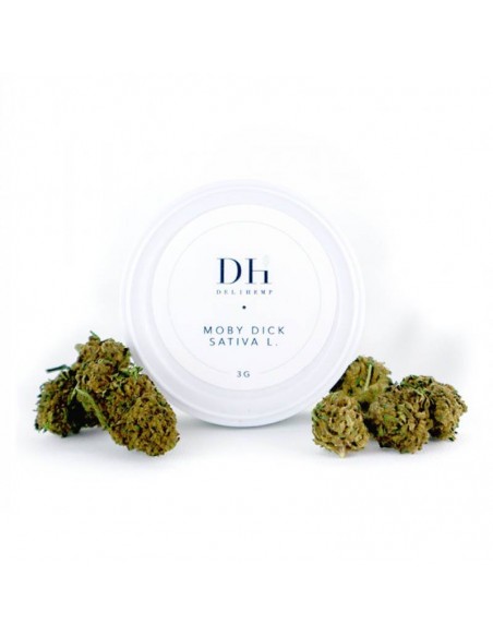 Fleurs CBD Moby Dick Indoor de la marque Deli Hemp