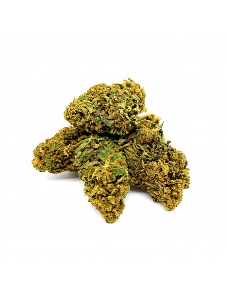 Fleurs CBD Moby Dick Indoor de la marque Deli Hemp