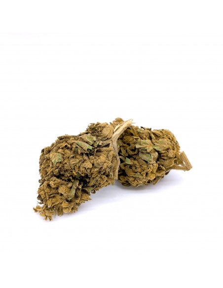 Fleurs CBD Tangie Outdoor de la marque Deli Hemp