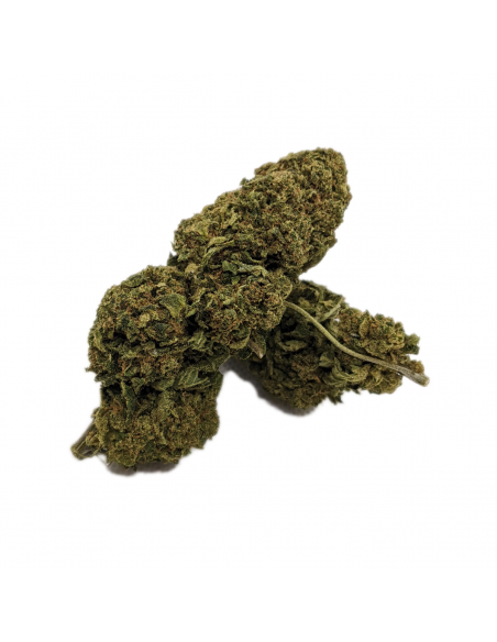 Pack 50g ThightVac Fleurs CBD Saul GoodKush, Le CBD du Chef