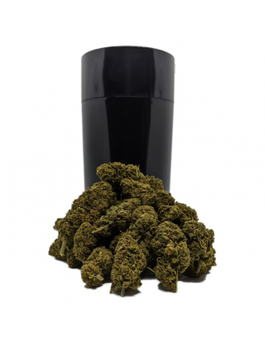 Pack 50g ThightVac Fleurs CBD Saul GoodKush, Le CBD du Chef