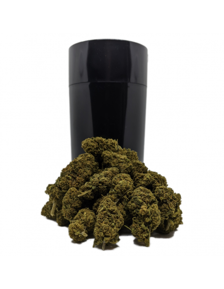 Pack 50g ThightVac Fleurs CBD Saul GoodKush, Le CBD du Chef