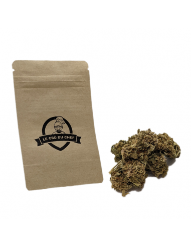 Fleurs CBD Gelato JR Indoor de la marque Le CBD du Chef