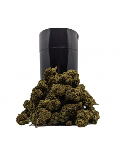 Pack 50g ThightVac Fleurs CBD Badger Haze, Le CBD du Chef
