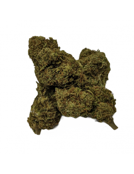 Fleurs CBD Badger Haze Indoor de la marque Le CBD du Chef