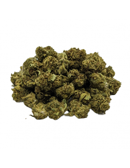 Fleurs CBD Todd's Bud Indoor de la marque Le CBD du Chef