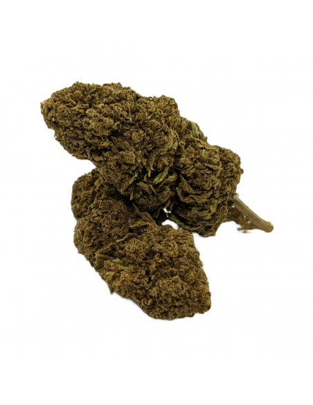 Fleurs CBD Gomez Haze Indoor de la marque Le CBD du Chef