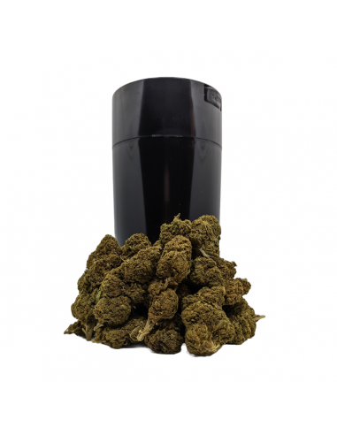 Pack 50g ThightVac Fleurs CBD Gomez Haze, Le CBD du Chef