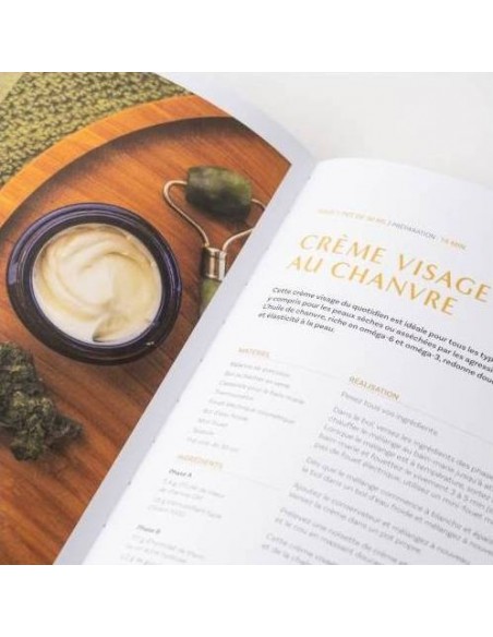 Livre Chanvre & CBD, tout ce qu'on hemp de Dan Elmaleh