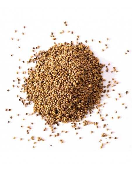 Graines de chanvre BIO toastées 200g de la marque Deli Hemp
