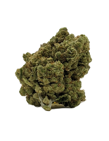 Fleurs CBD Jessydro Indoor Hydro de la marque Le CBD du Chef