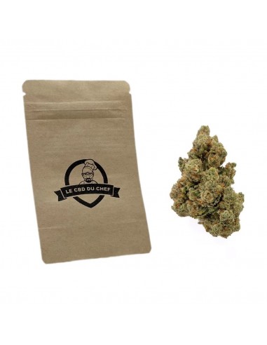 Fleurs CBD Gale Hydro Indoor de la marque Le CBD du Chef